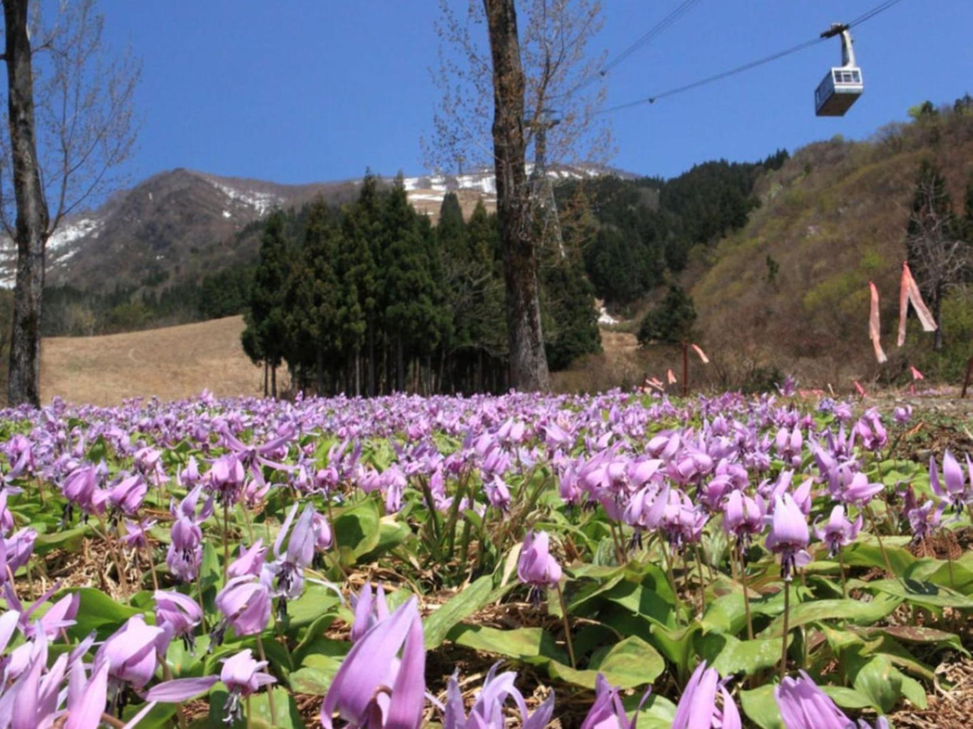 Pension Come Healing Tatami-Room- Vacation Stay 14980 Minamiuonuma Bagian luar foto